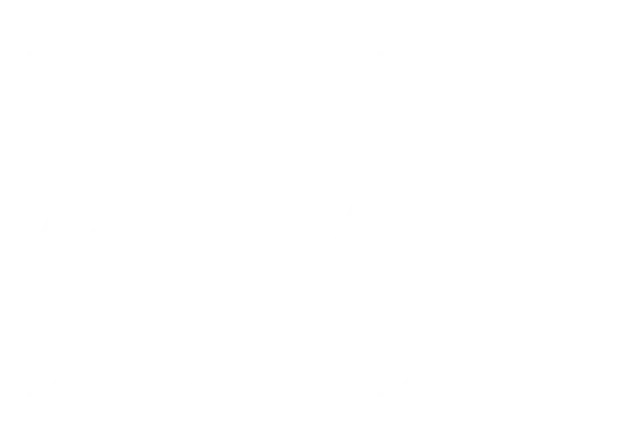 Laser Partner